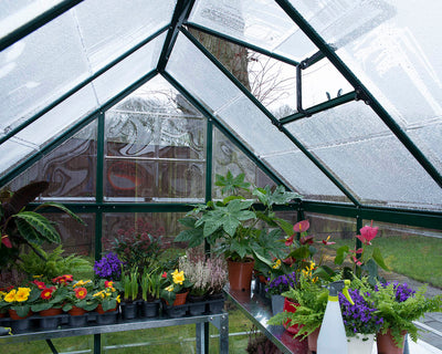 Palram Canopia Harmony 6 ft. x 10 ft. Greenhouse - Green